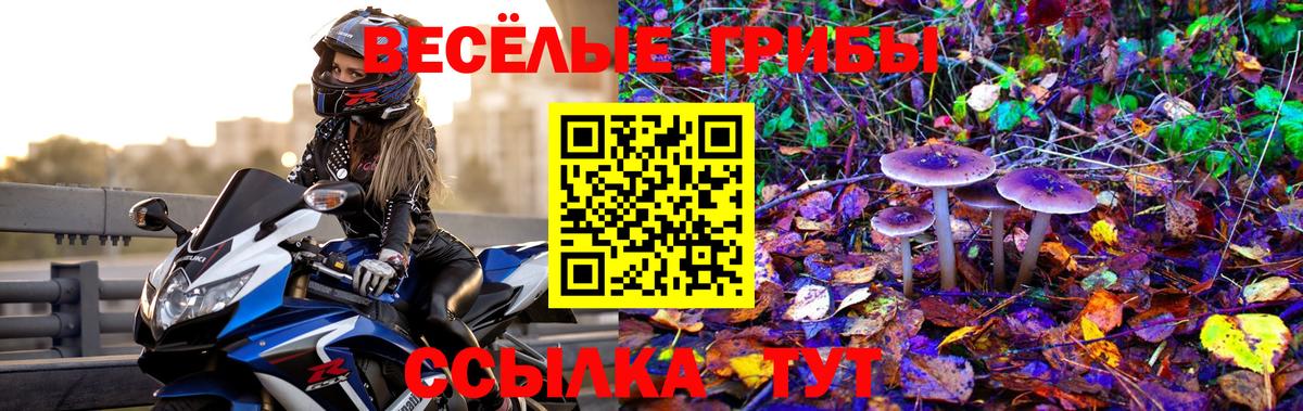 Галлюциногенные грибы ЛСД Сарапул